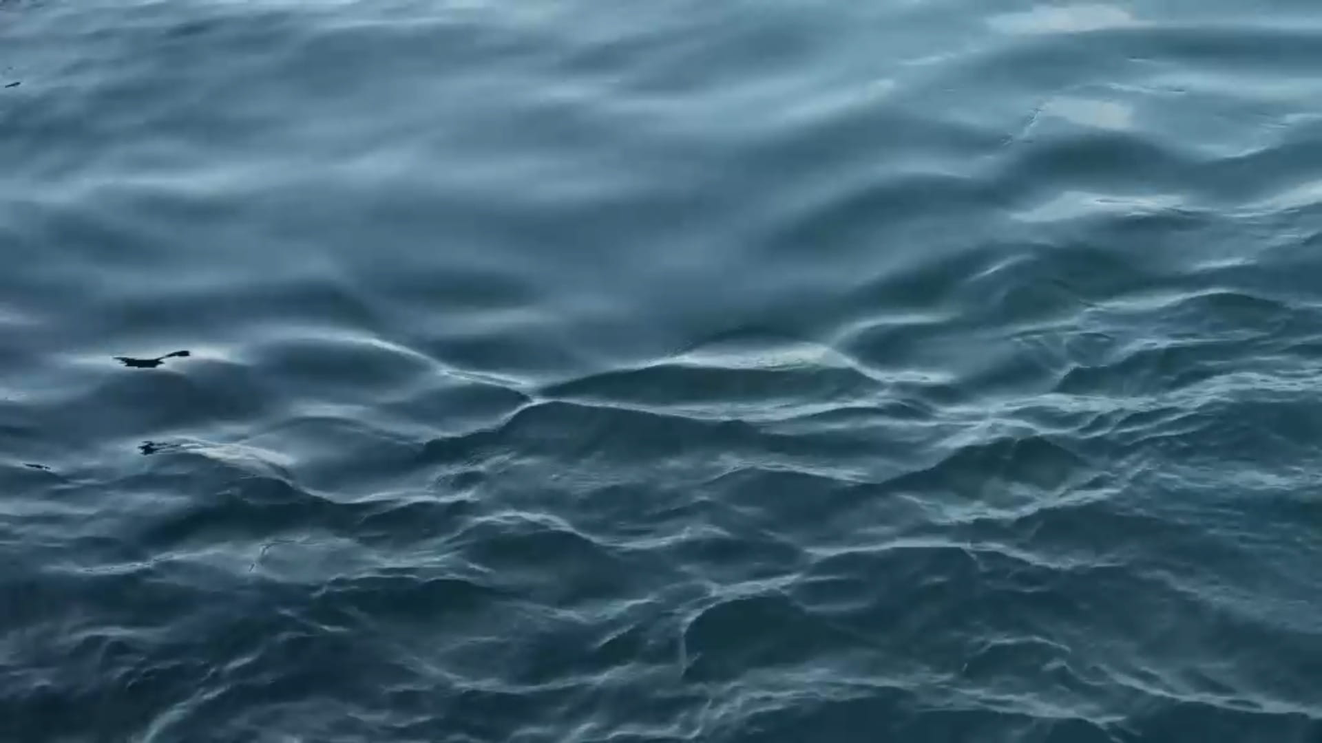 Wave Design